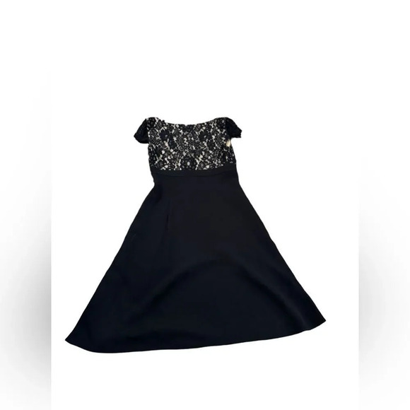 EUC Ann Taylor Cap-Sleeve Lace Spectator Dress - Picture 4 of 6